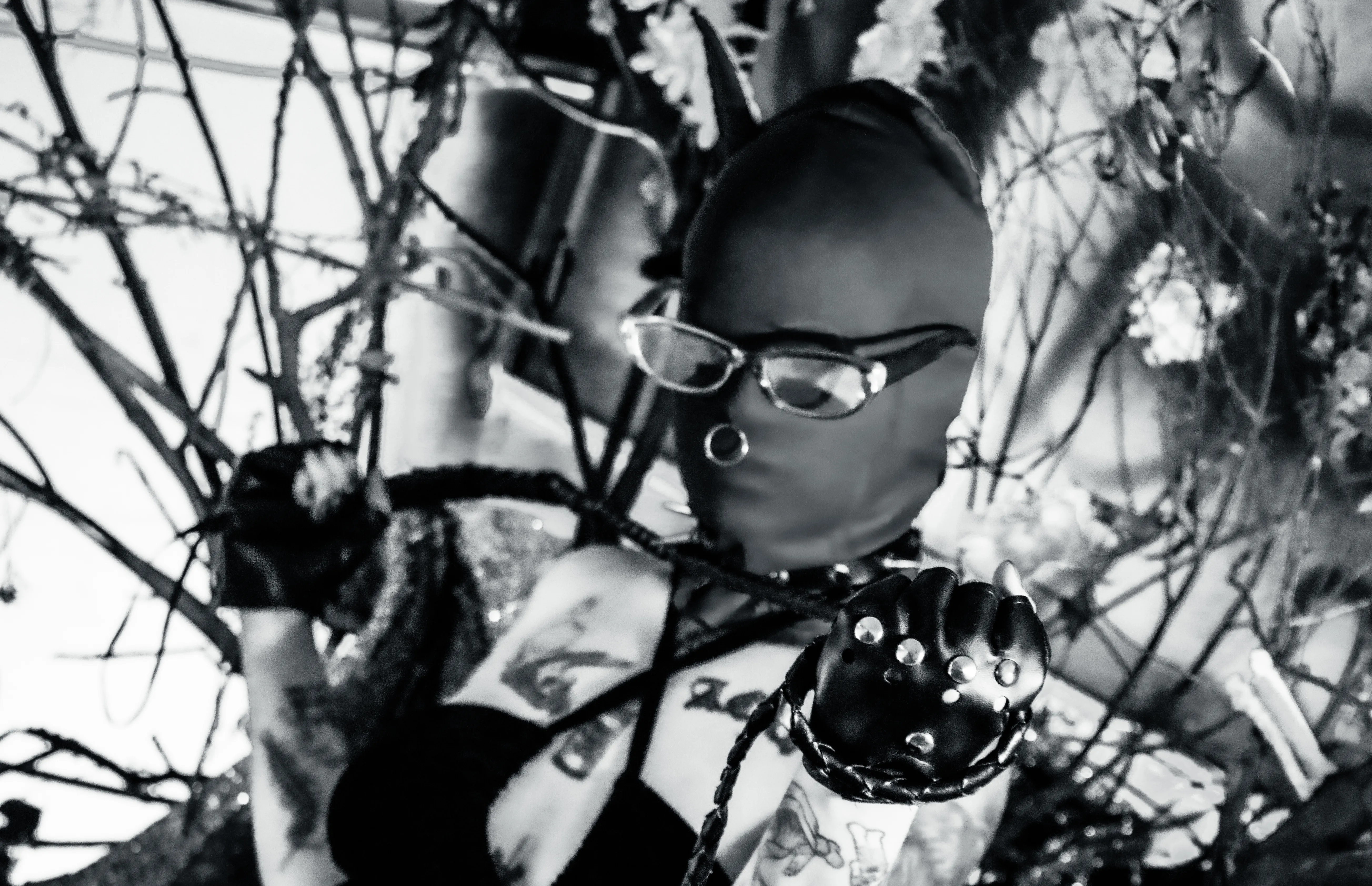 Live sex webcam photo for AmySpider #8005585