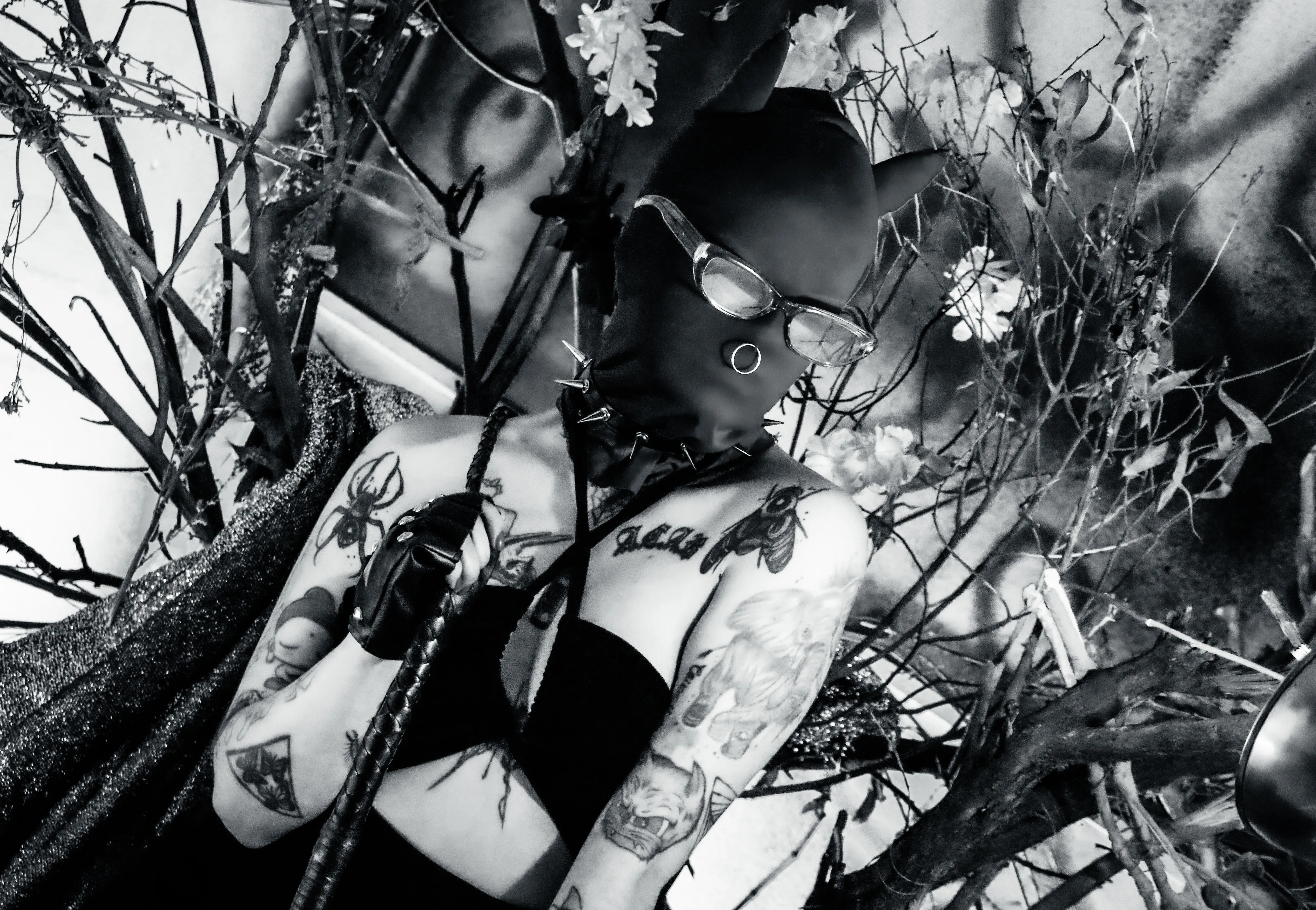 Live sex webcam photo for AmySpider #8005565