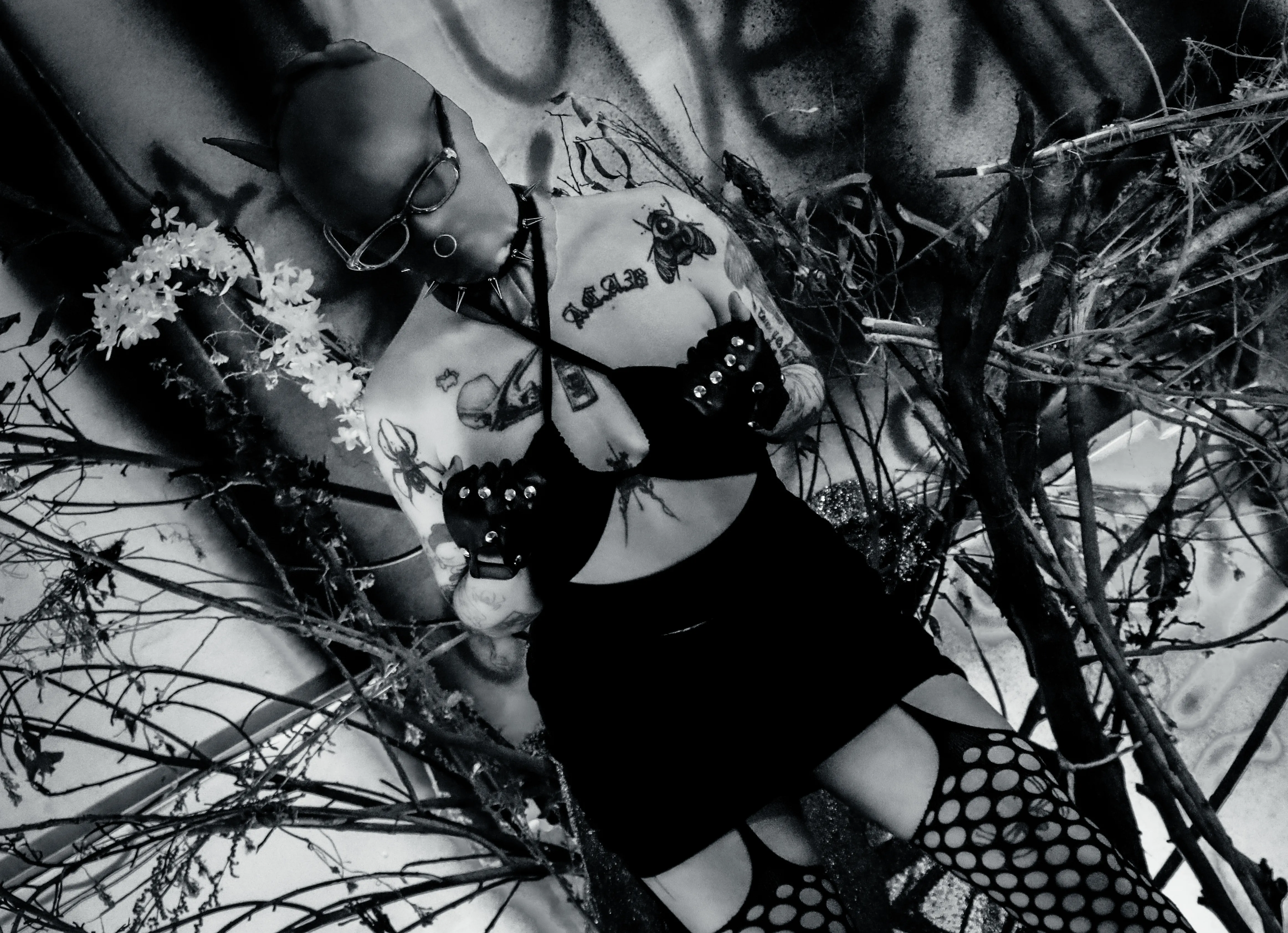 Live sex webcam photo for AmySpider #8005584