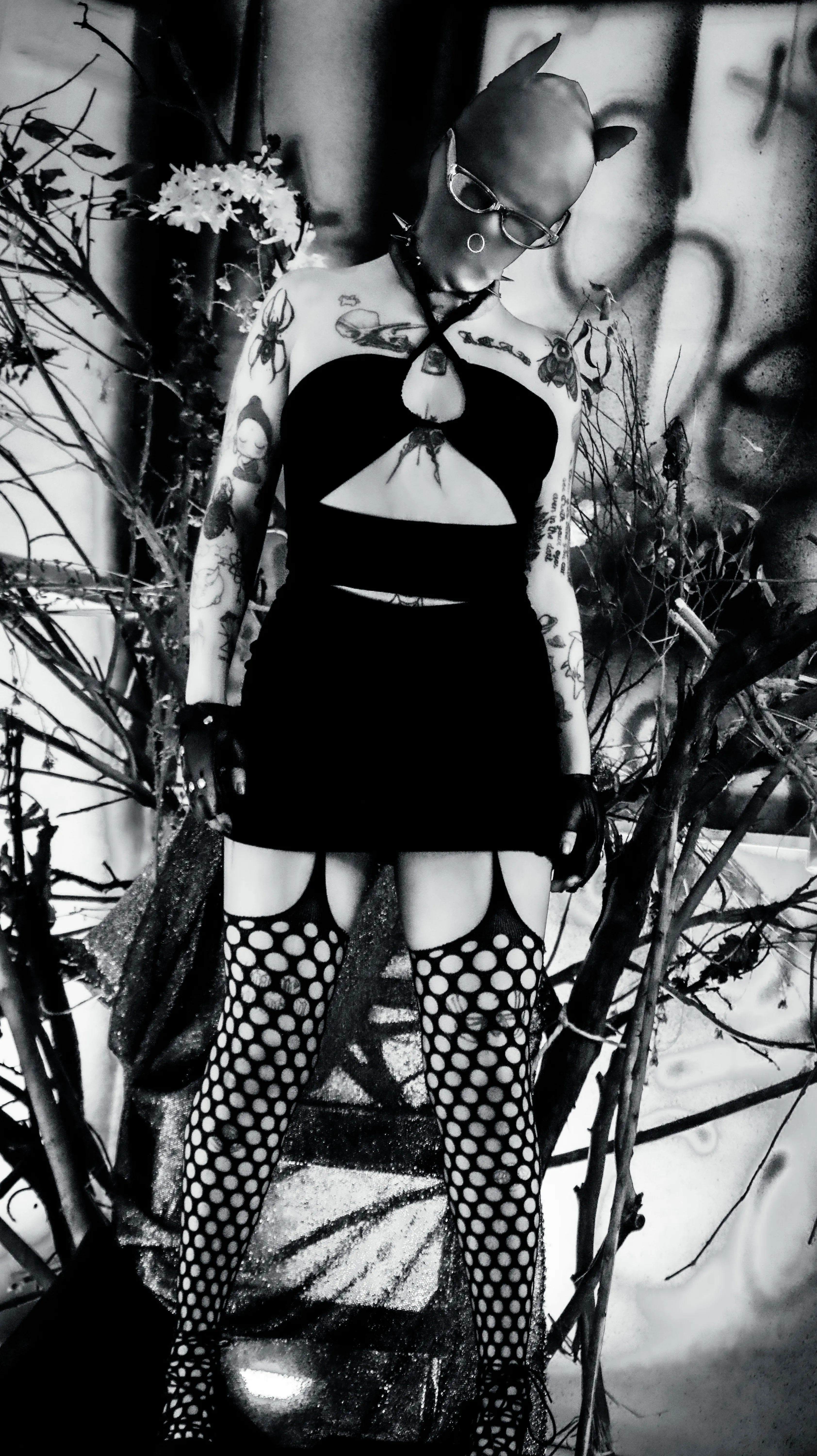 Live sex webcam photo for AmySpider #8005564