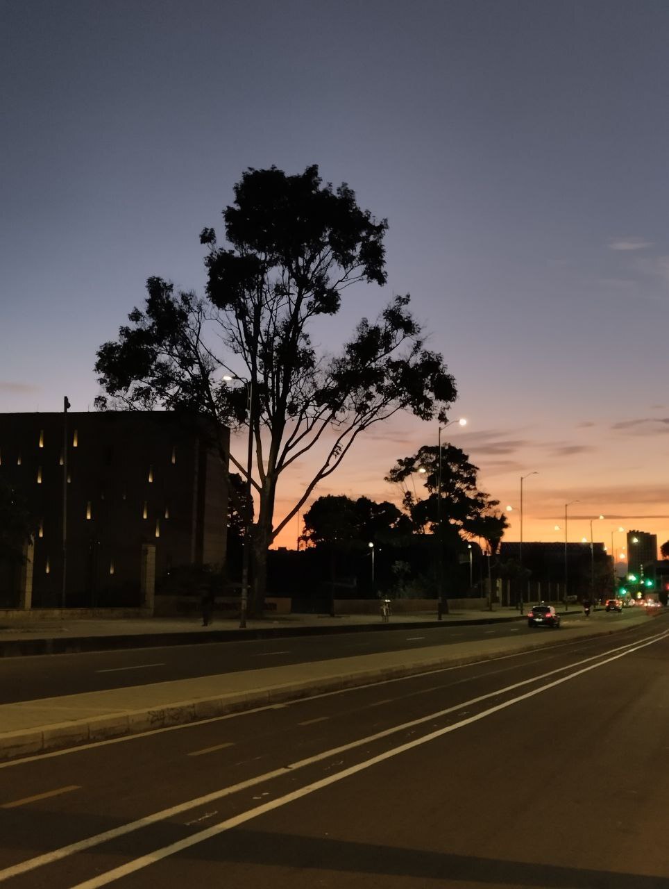 Live sex webcam photo for AmySpider #7316260