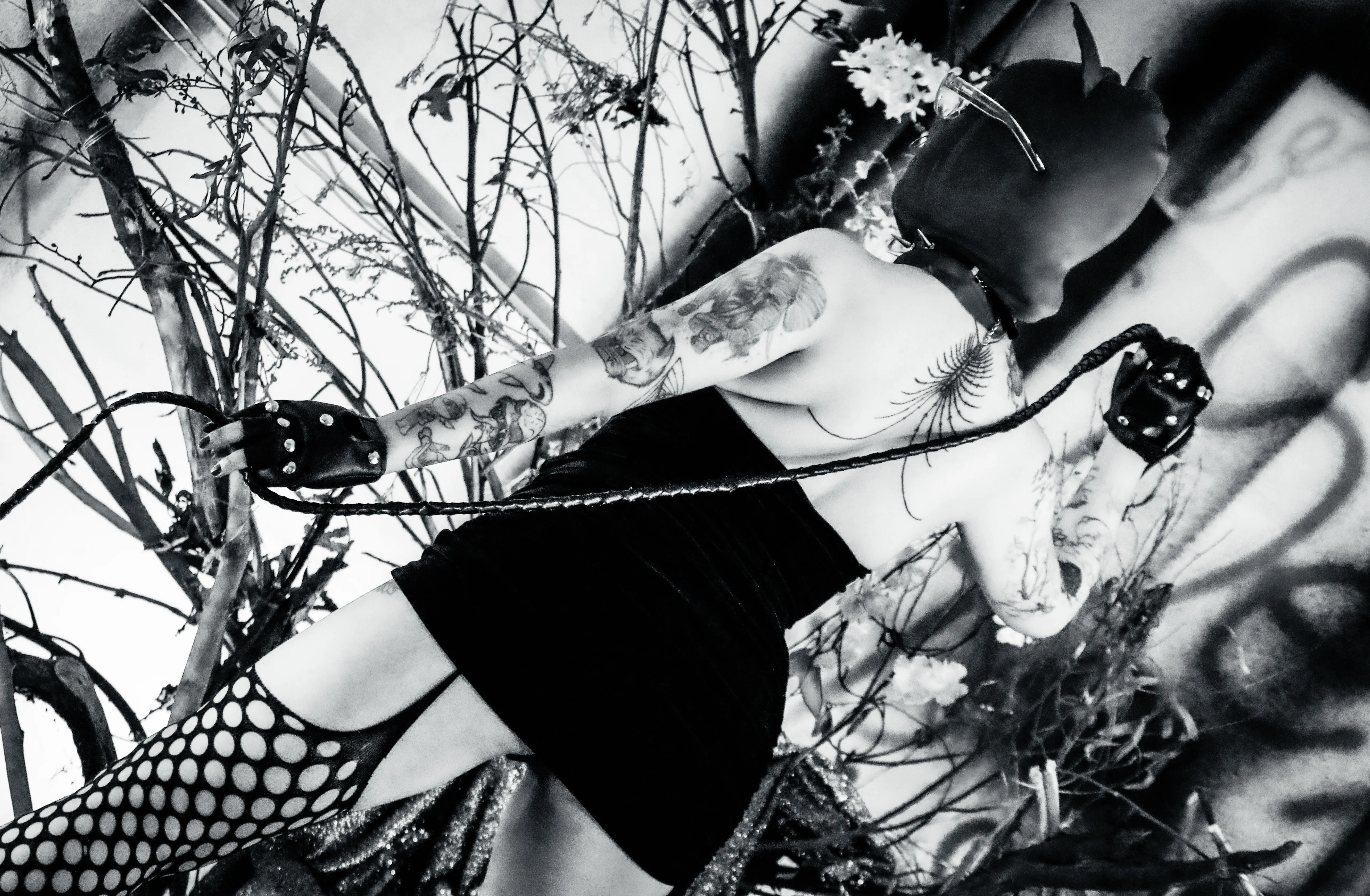 Live sex webcam photo for AmySpider #8005581