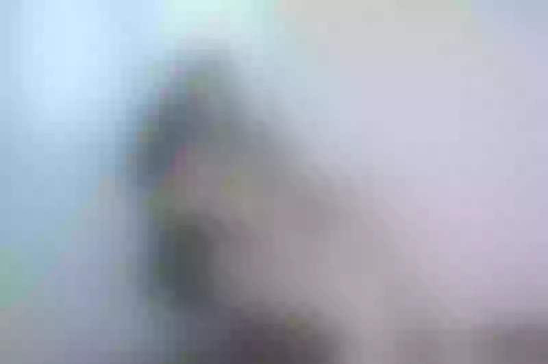 Live sex webcam photo for SilvertFoxx #5445442