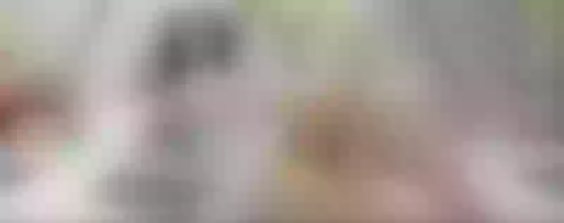 Live sex webcam photo for SharolConnor #5632871