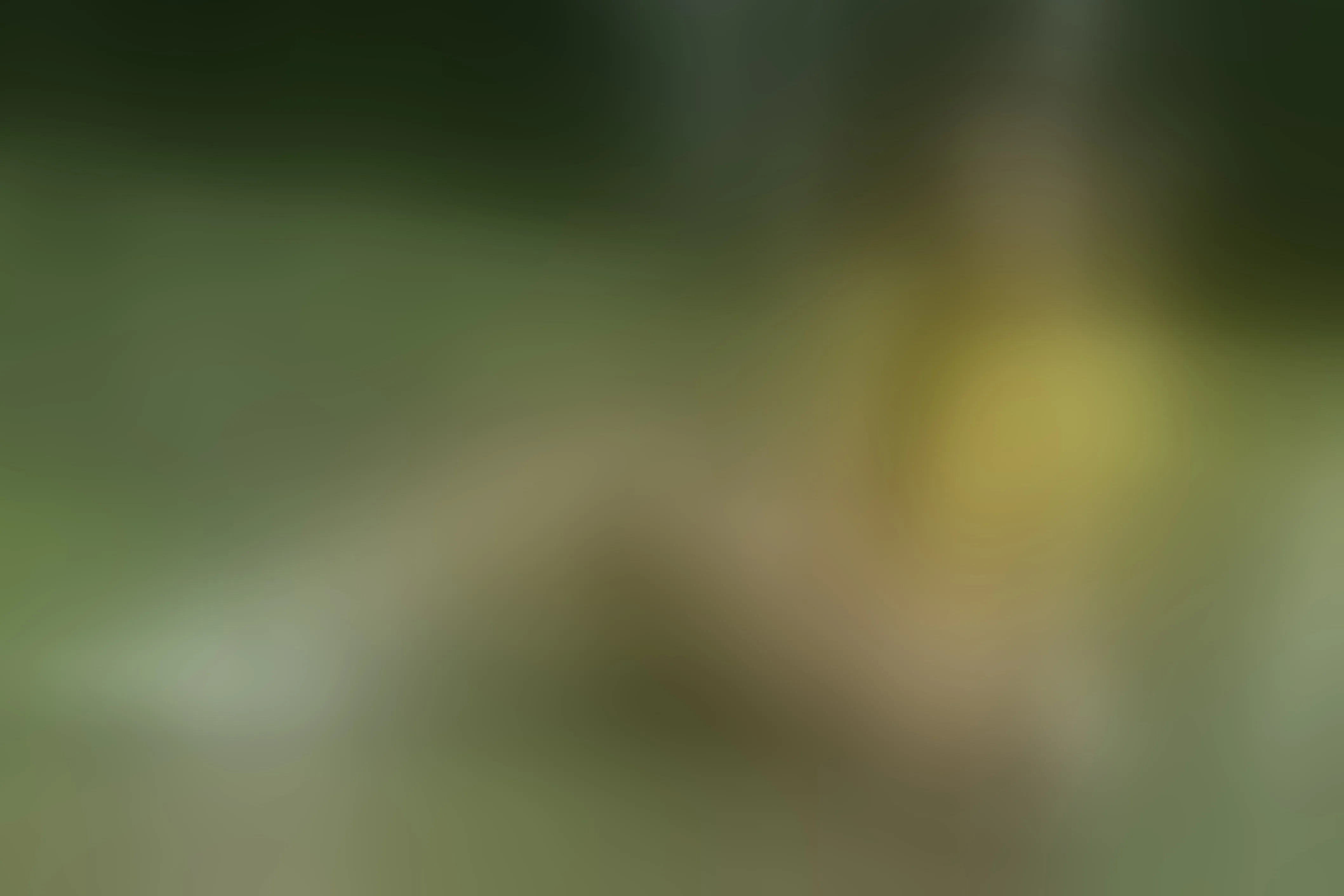Live sex webcam photo for AbbyCaarterr #8571699