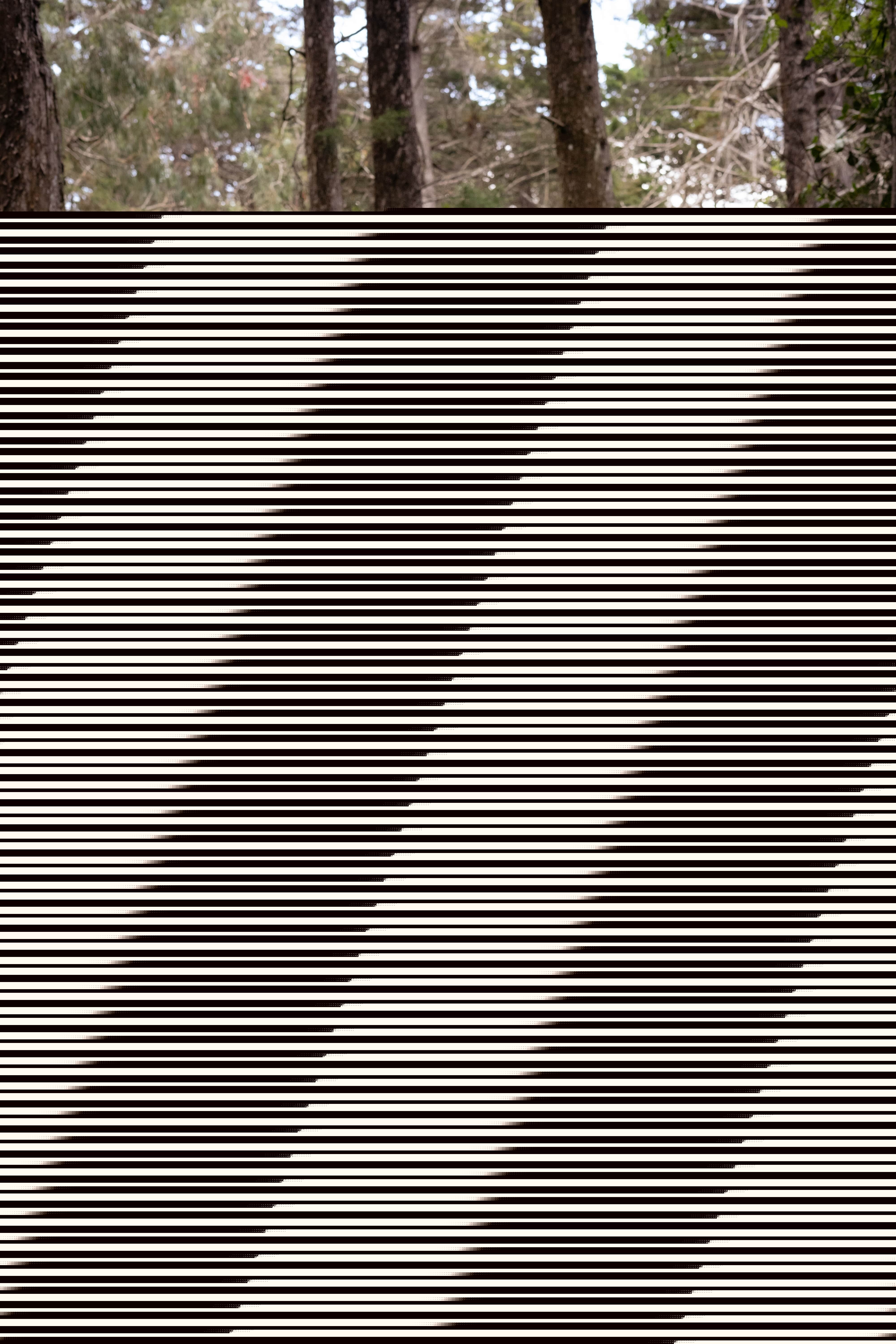 Live sex webcam photo for MsAnny #7140683