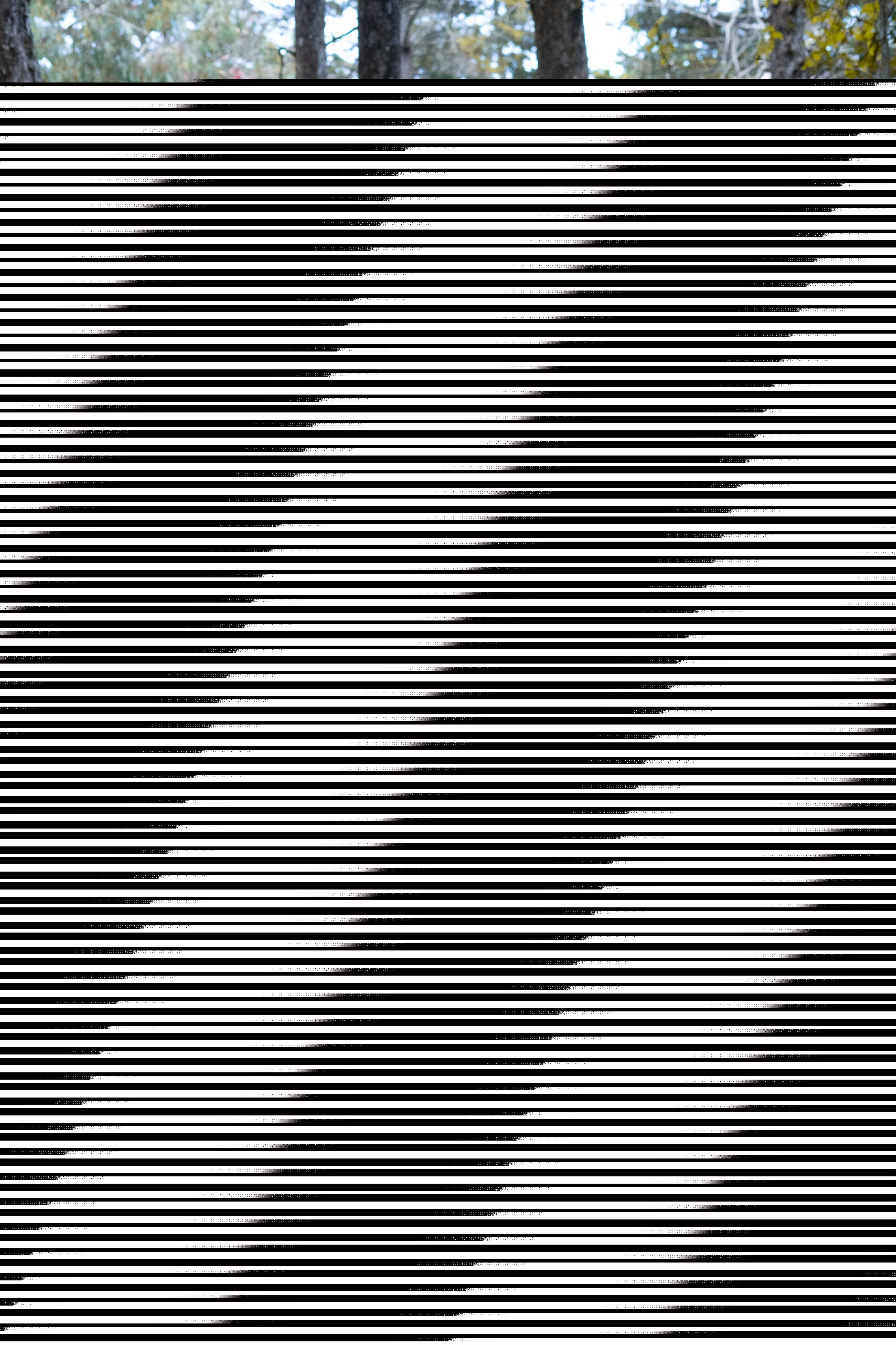 Live sex webcam photo for MsAnny #7140682