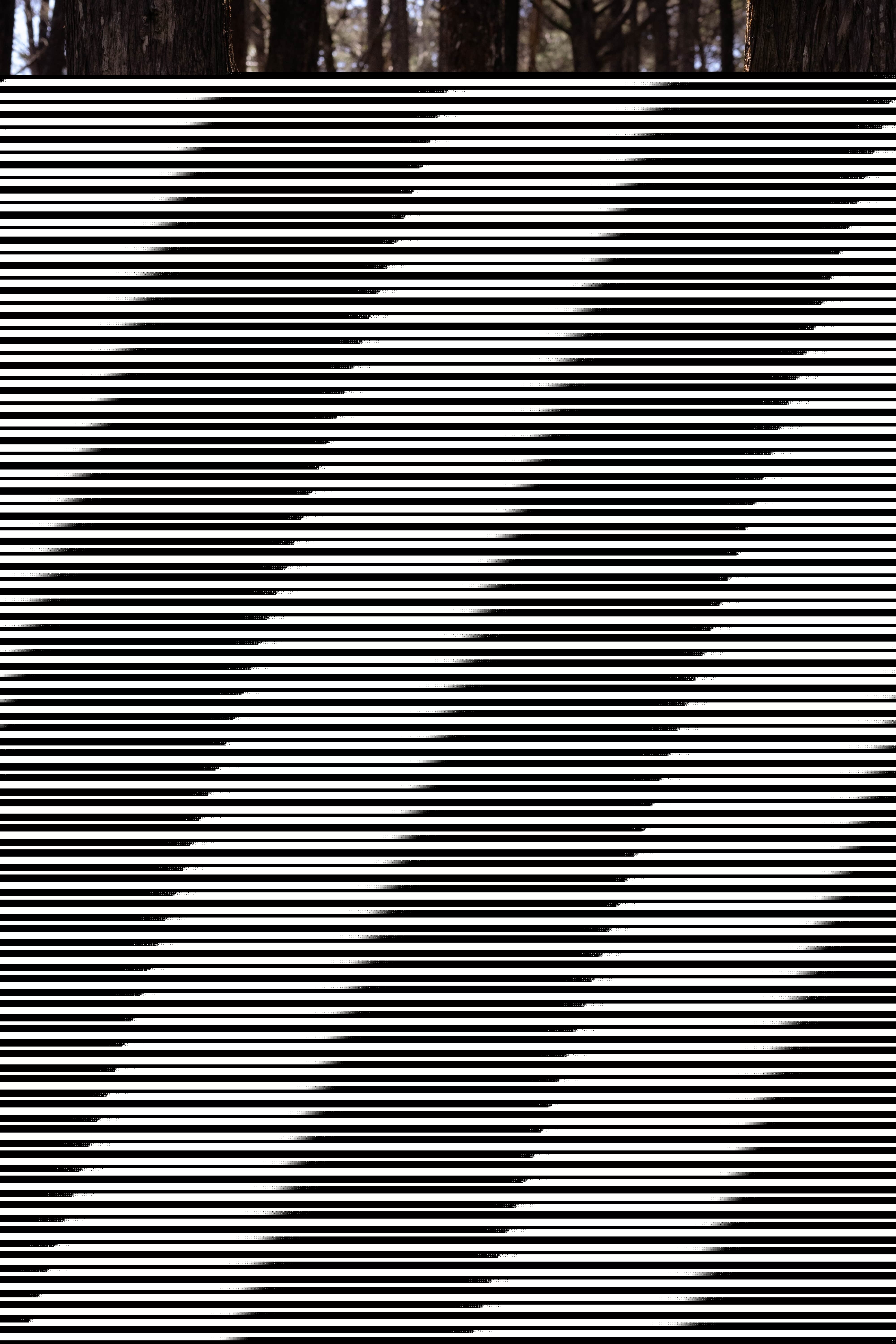 Live sex webcam photo for MsAnny #7140672