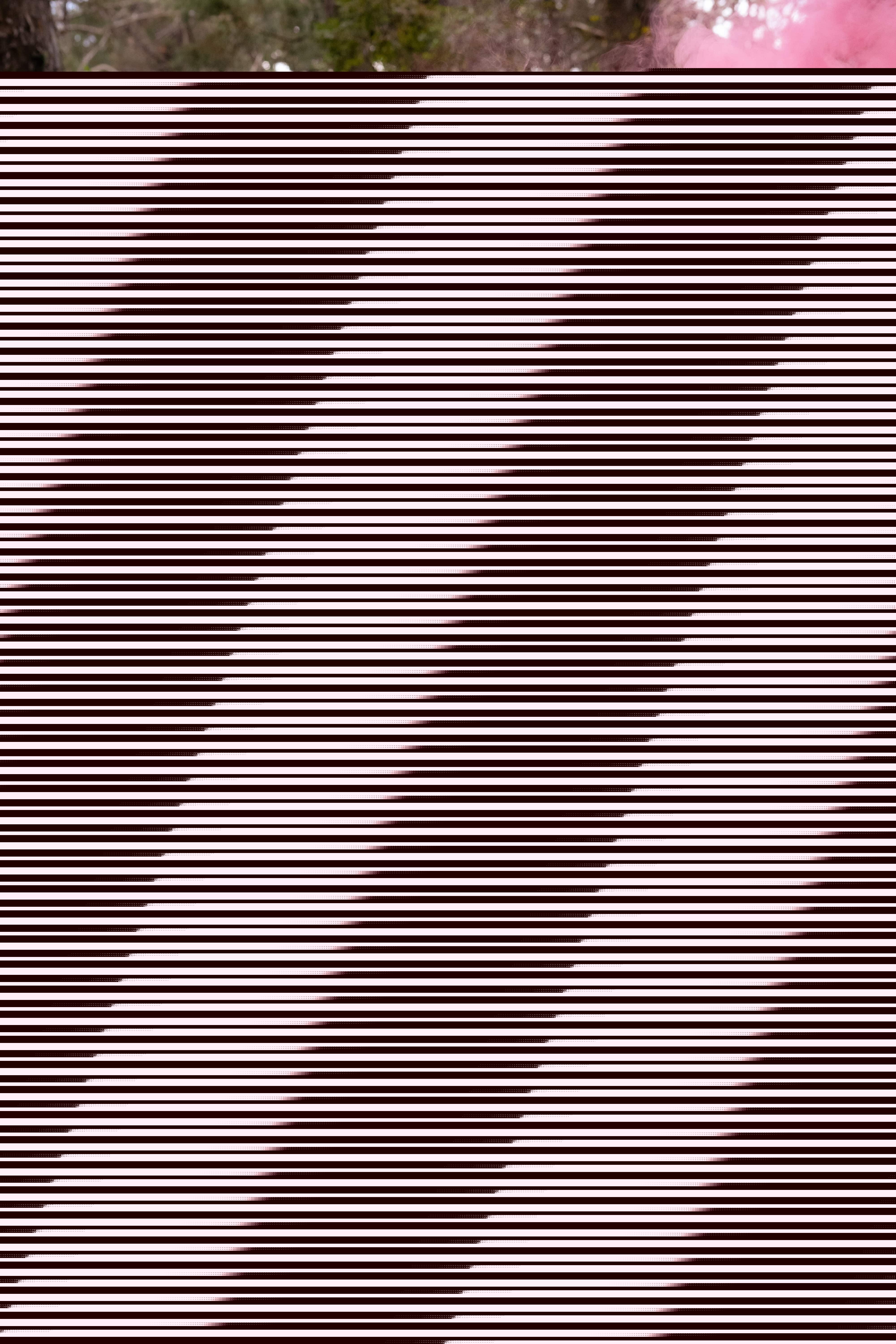 Live sex webcam photo for MsAnny #7140680