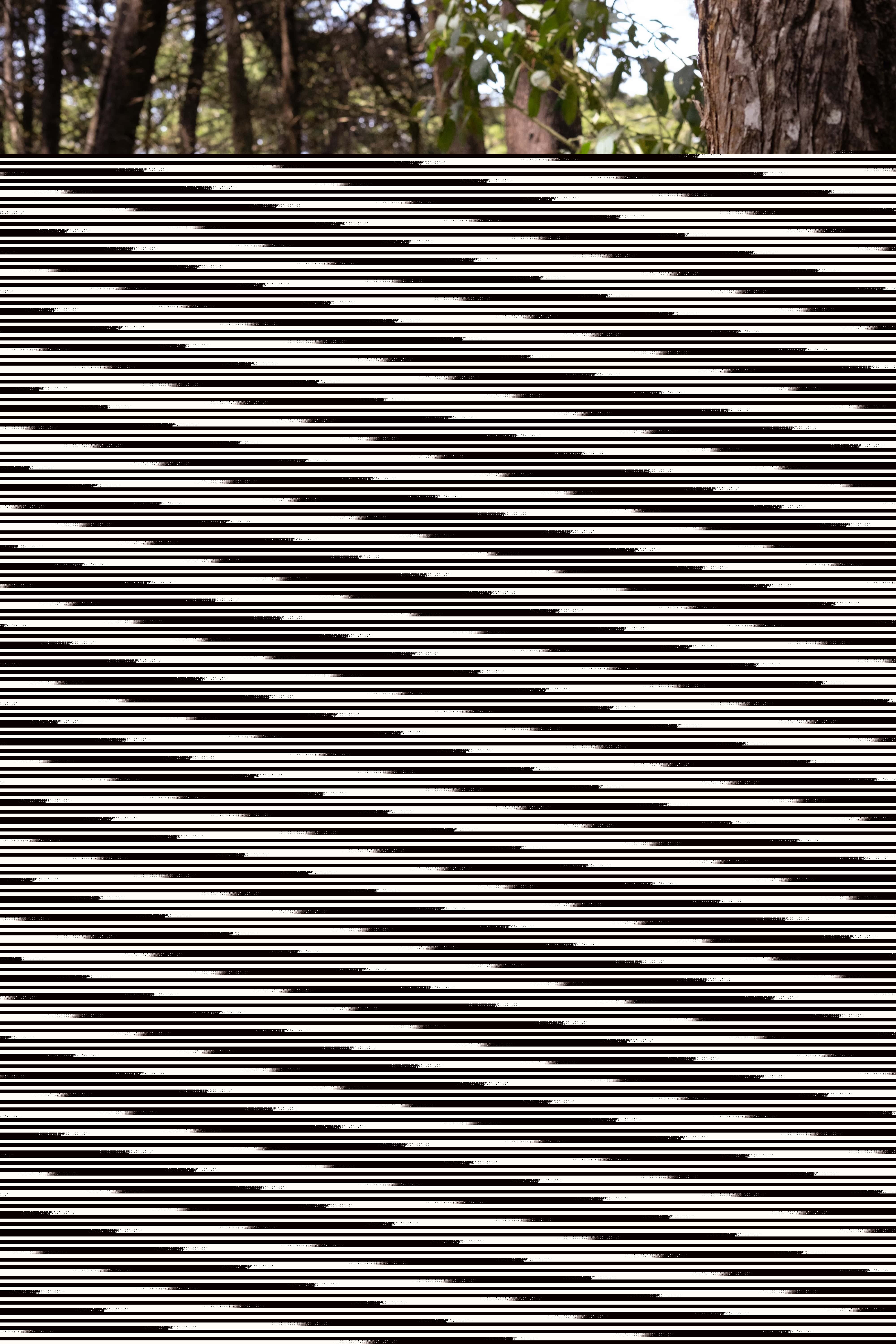 Live sex webcam photo for MsAnny #7140678