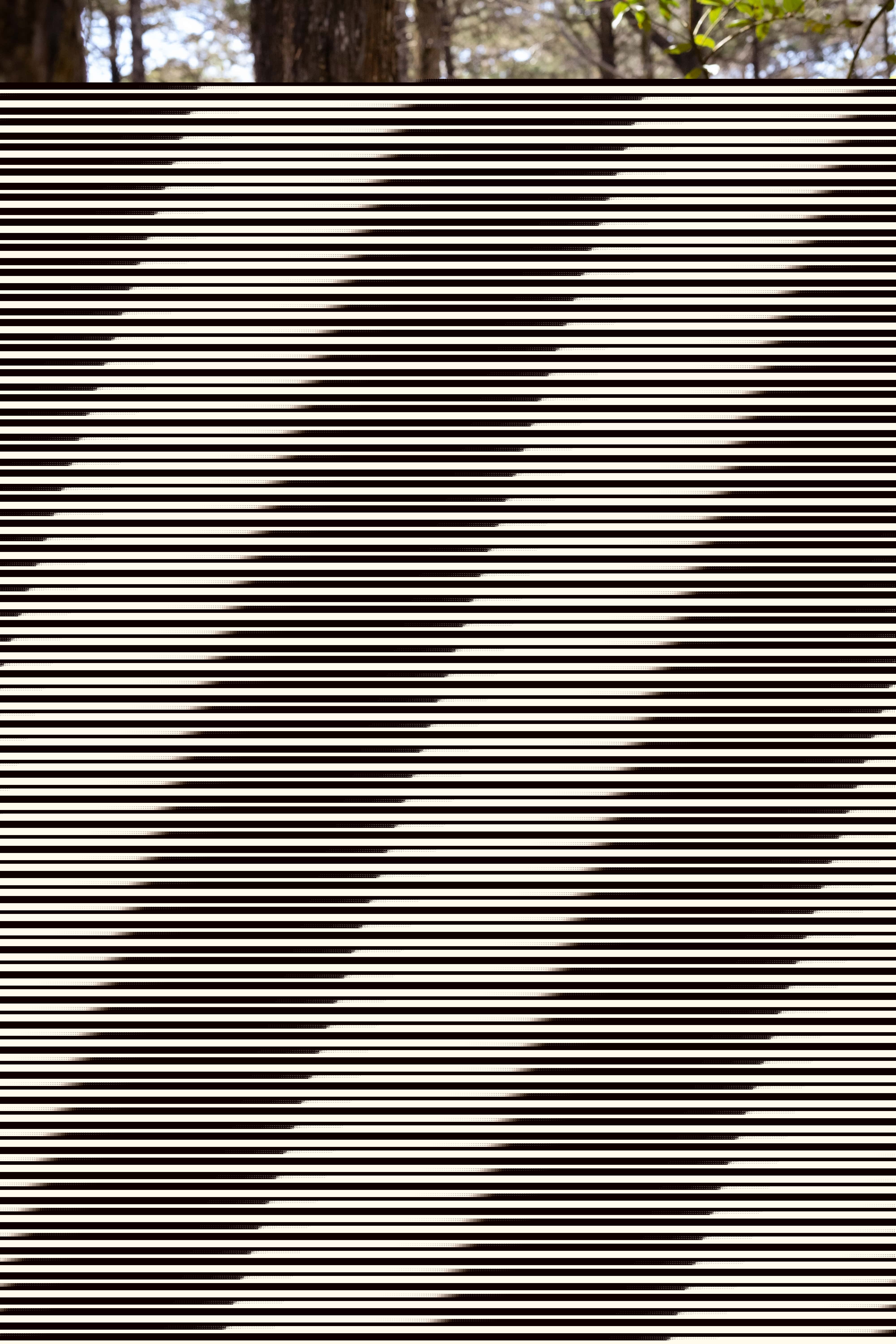 Live sex webcam photo for MsAnny #7140676