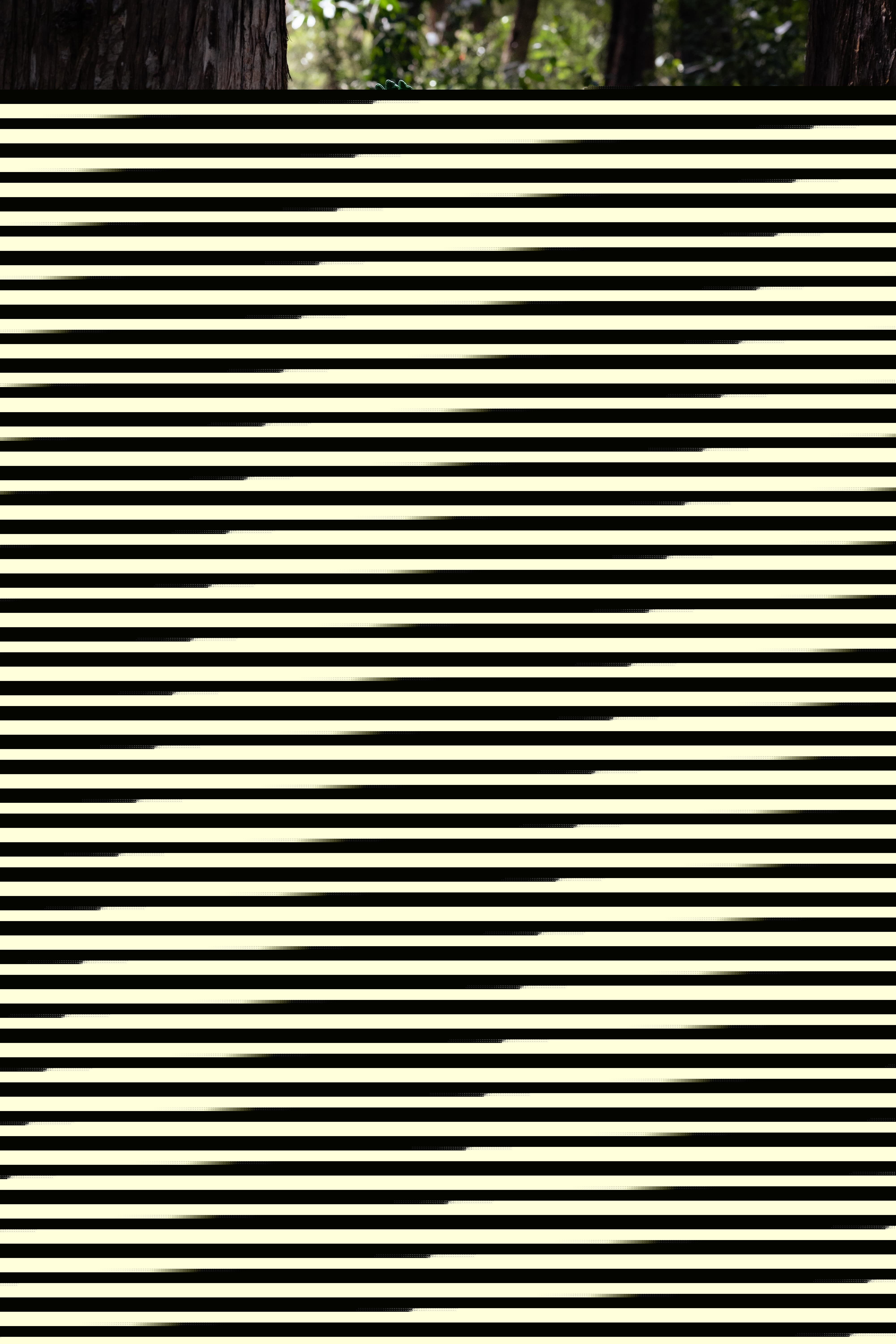 Live sex webcam photo for MsAnny #7140671