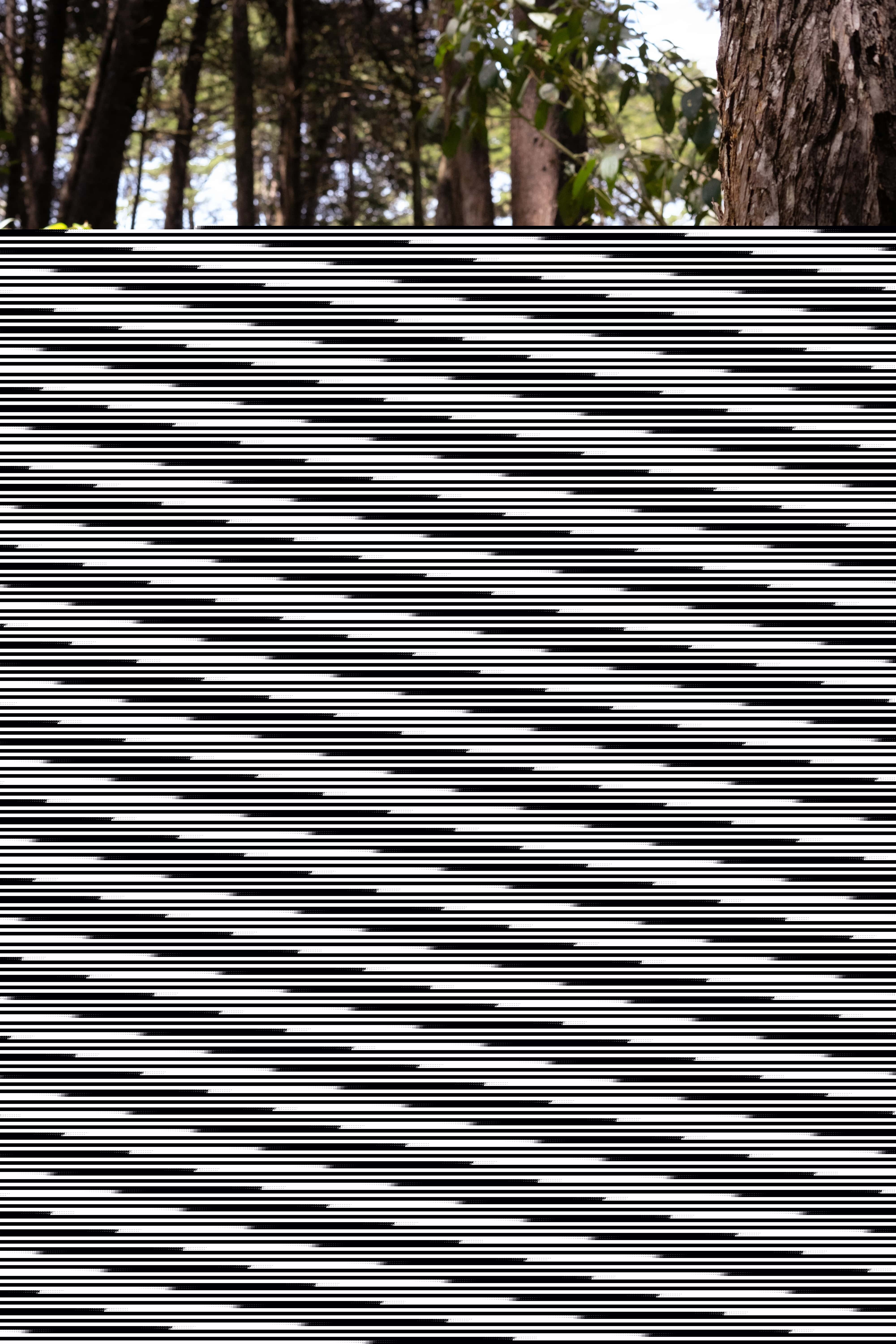 Live sex webcam photo for MsAnny #7140674