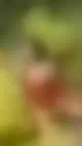 Live sex webcam photo for VioletaJohansson51 #5522571