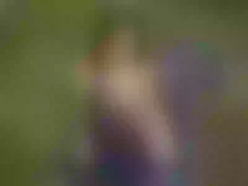 Live sex webcam photo for IrinaRoyce #6138201