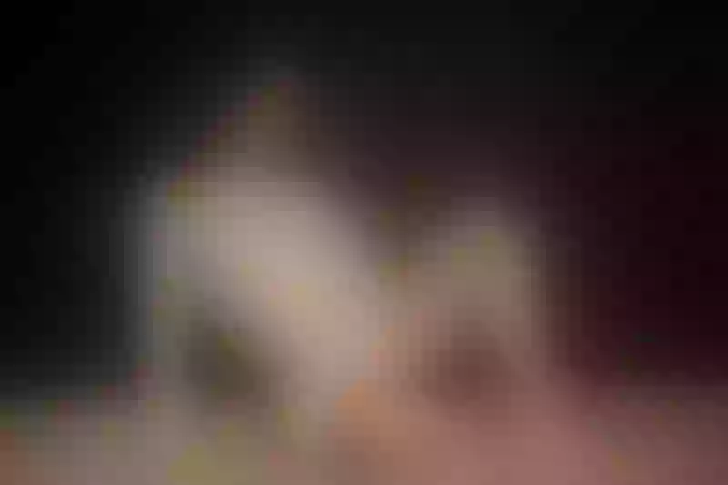 Live sex webcam photo for AlyssaBonett #5486105