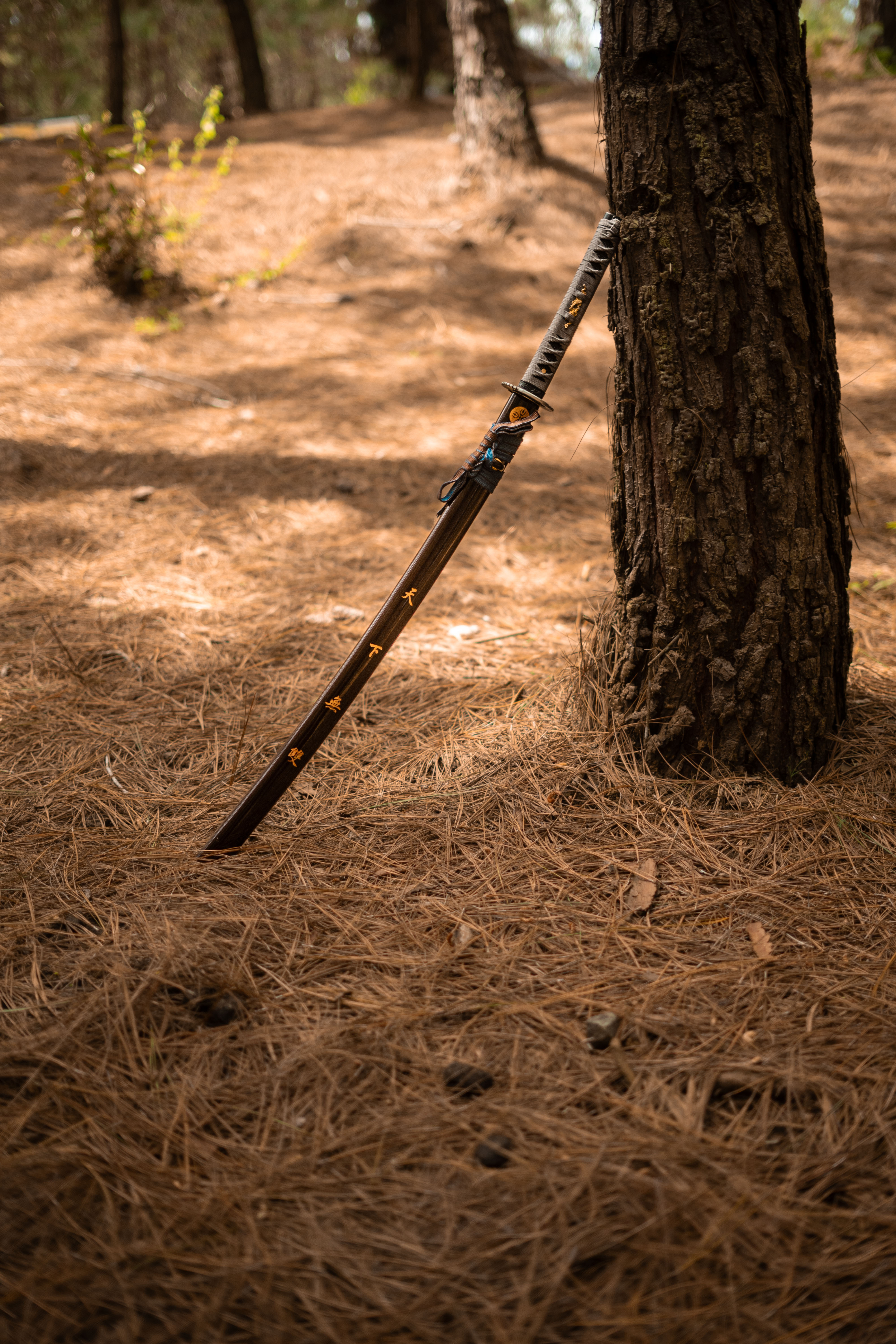 Live sex webcam photo for CharlotteMeyers #7436124