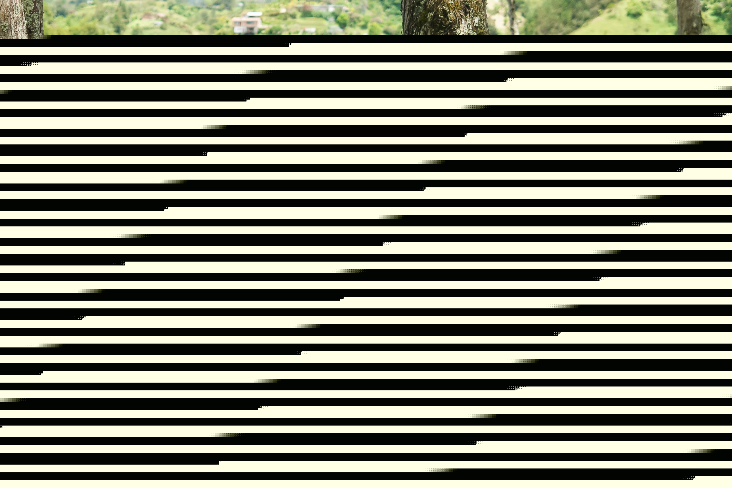 Live sex webcam photo for EmaBakker #7172775