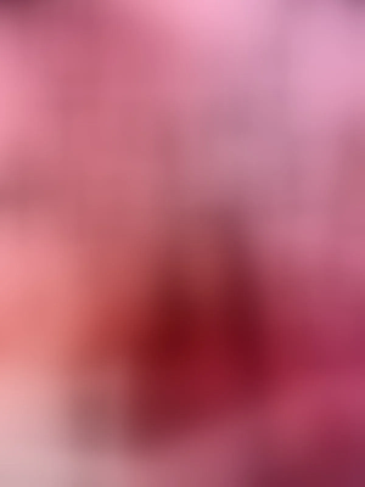 Live sex webcam photo for celestesuarezz #8283411