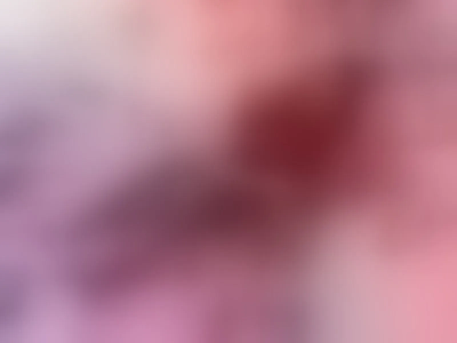 Live sex webcam photo for celestesuarezz #8283428