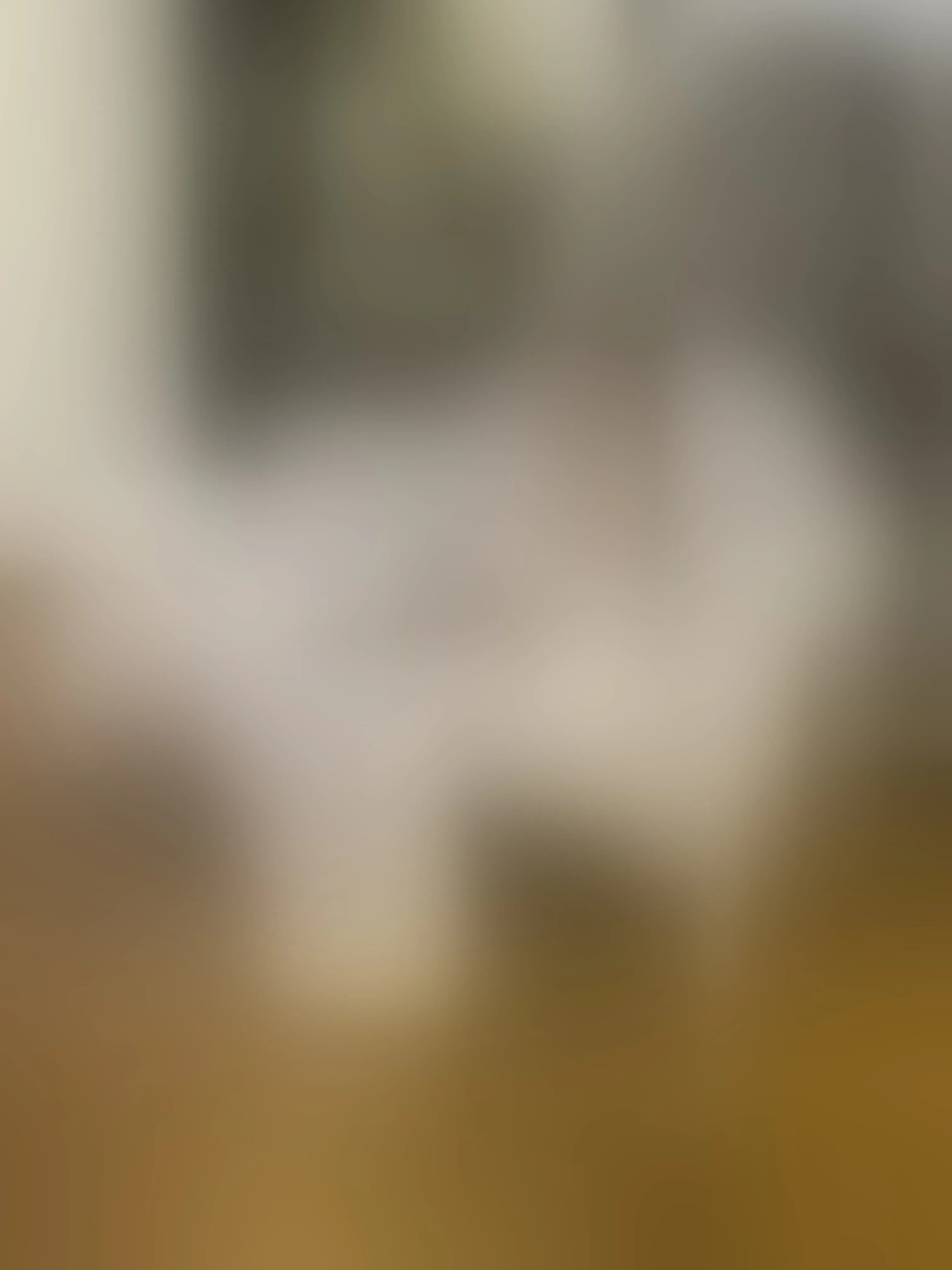 Live sex webcam photo for katiaexpensive #8223804