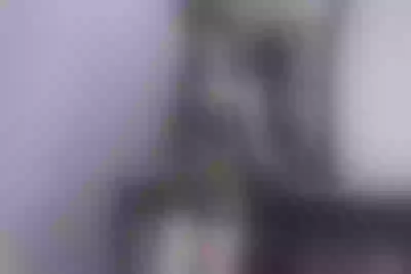 Live sex webcam photo for SylvanaSaint #5500370