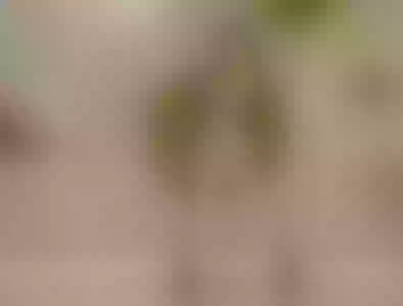 Live sex webcam photo for VioletMillers #5492235