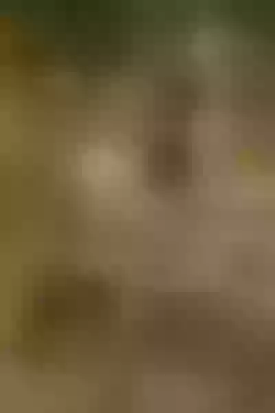 Live sex webcam photo for EmmaLennon #5886867