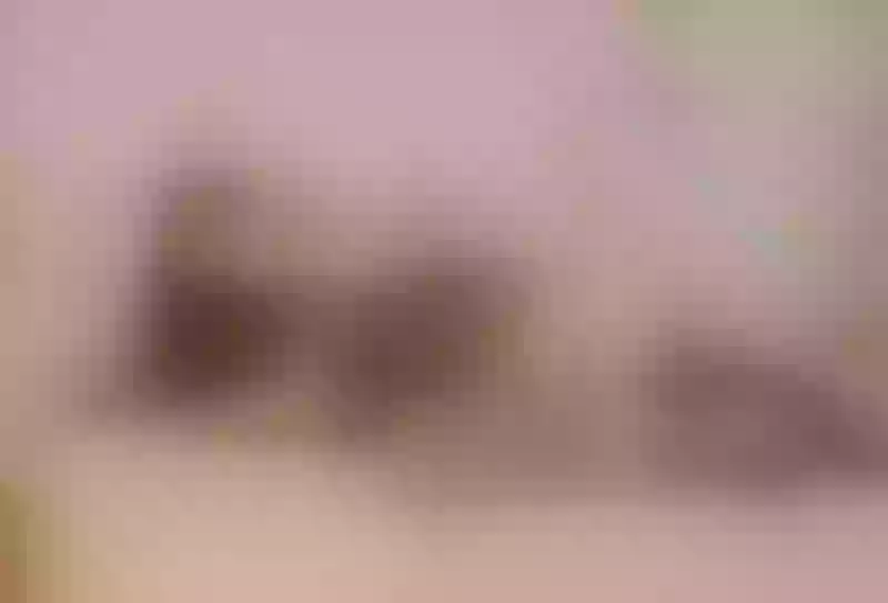 Live sex webcam photo for IsaRousey #5524901
