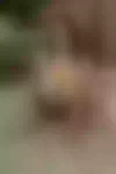Live sex webcam photo for LaurentFox #5530947