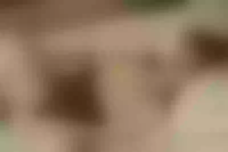 Live sex webcam photo for LaurentFox #5530948