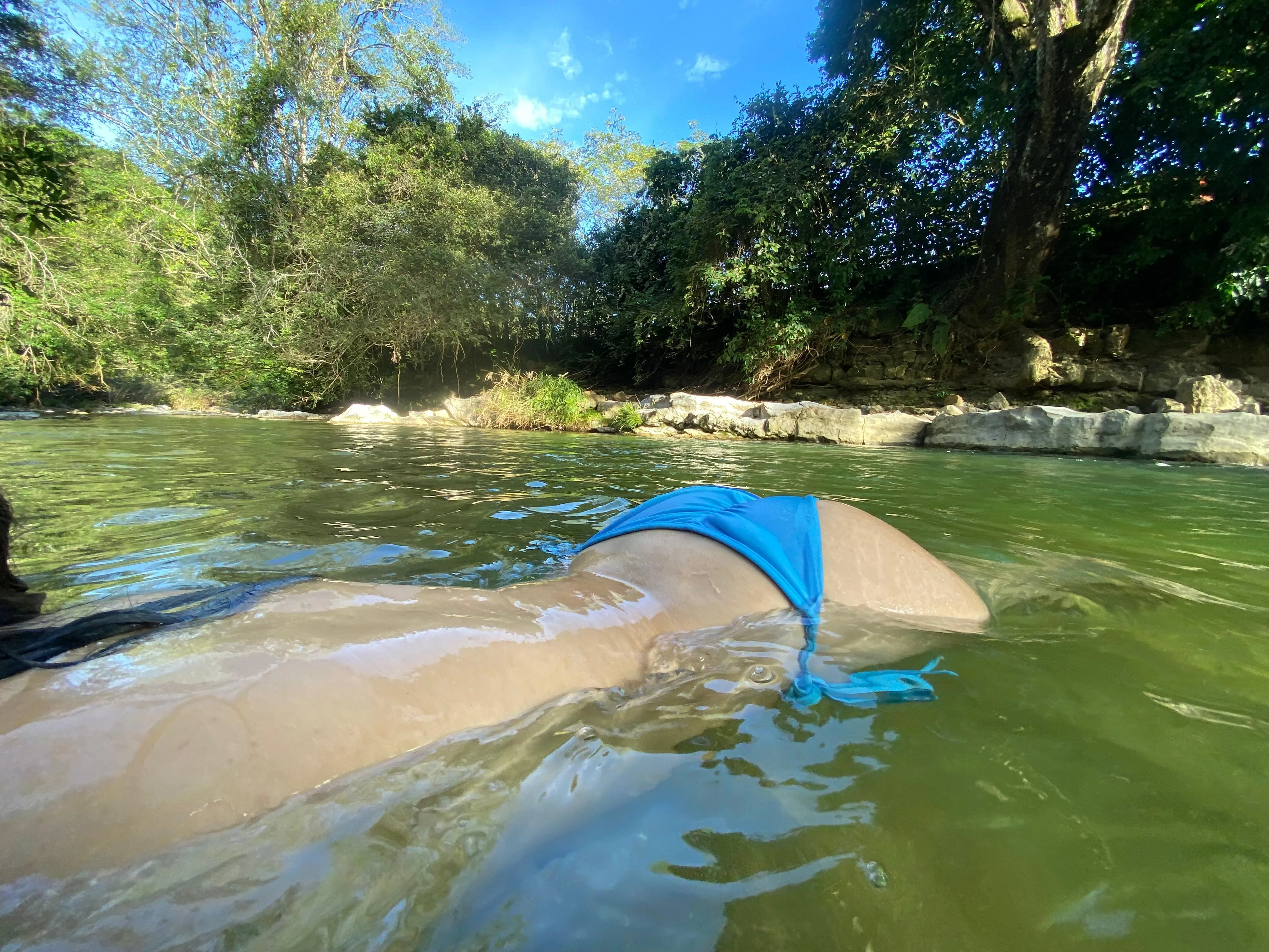 Live sex webcam photo for VictoriaLennox #7404905