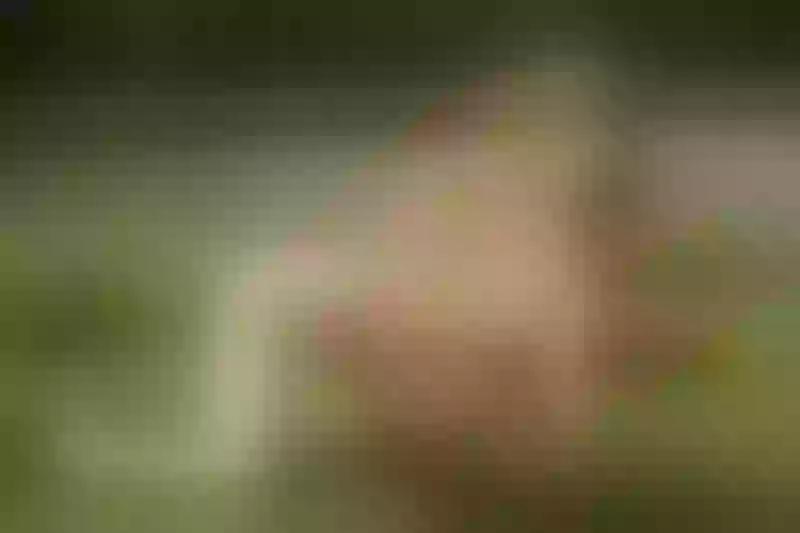 Live sex webcam photo for LanaEden #5549721