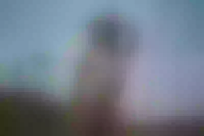 Live sex webcam photo for MilaRocher #5542637
