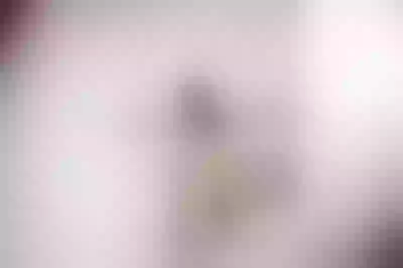 Live sex webcam photo for Arianhaa #5866107