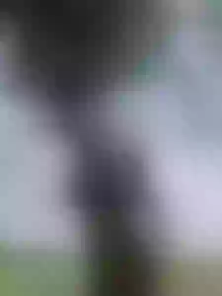 Live sex webcam photo for SharoonSmmith #6243694