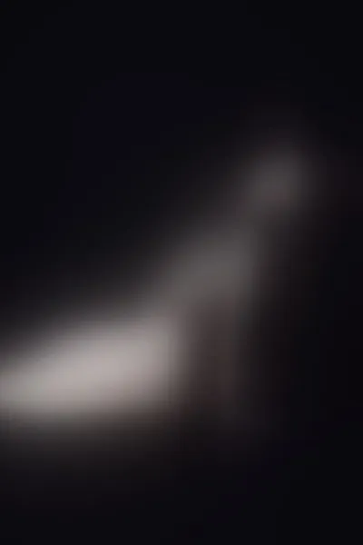 Live sex webcam photo for alondramunoz #6211237