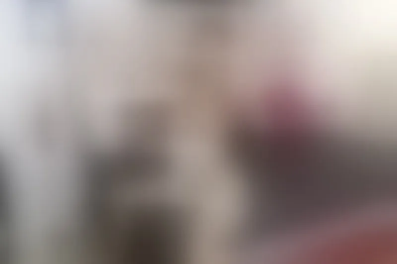 Live sex webcam photo for NikoleZammir #5556226