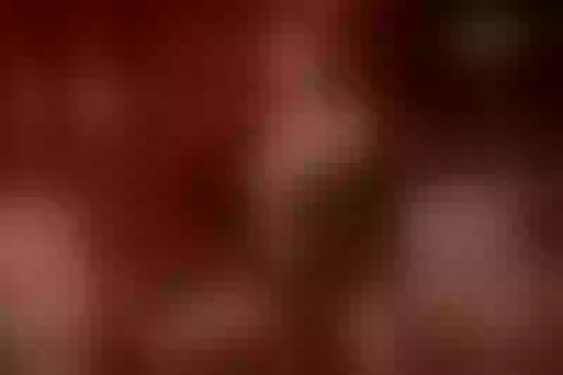 Live sex webcam photo for KabbyRivera #5568793