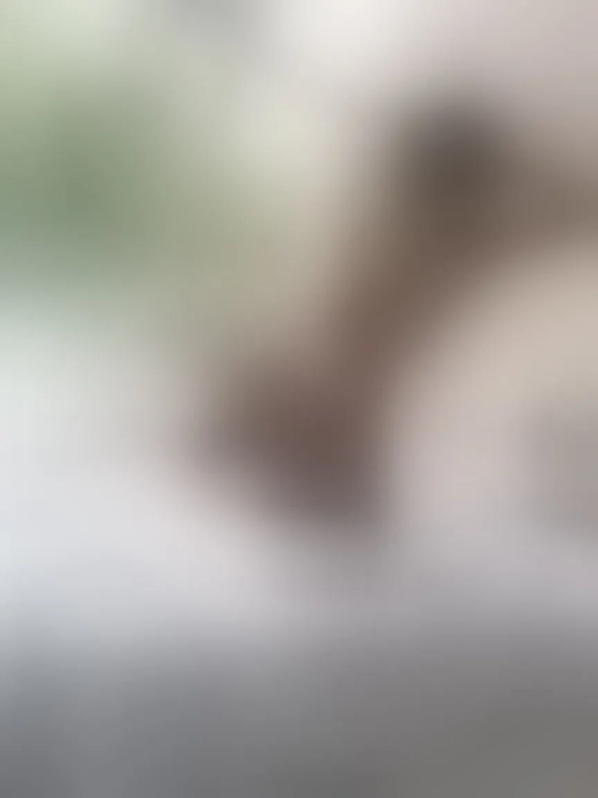 Live sex webcam photo for LissaScarlet #7112181