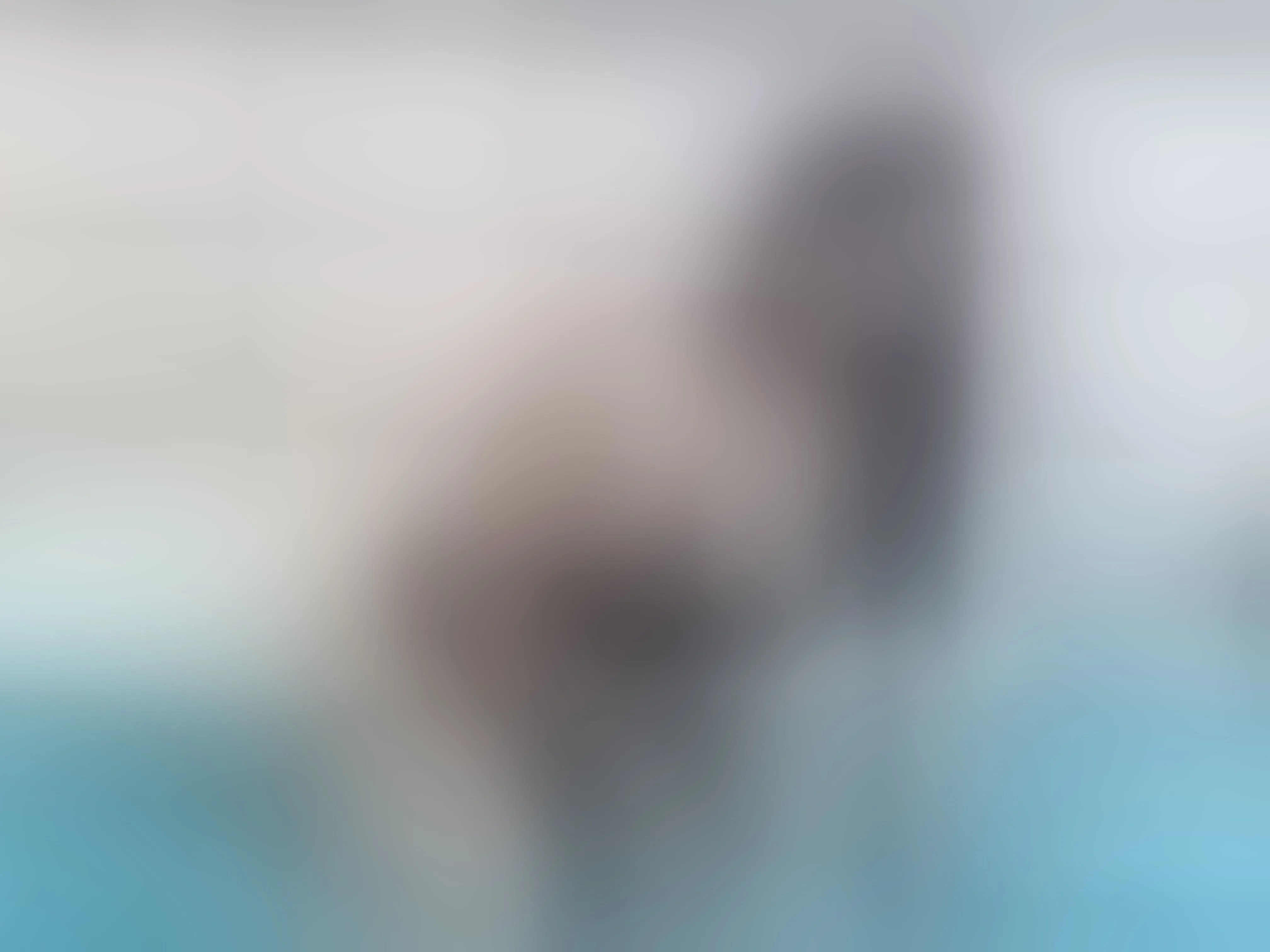 Live sex webcam photo for emilyywillis #7333879