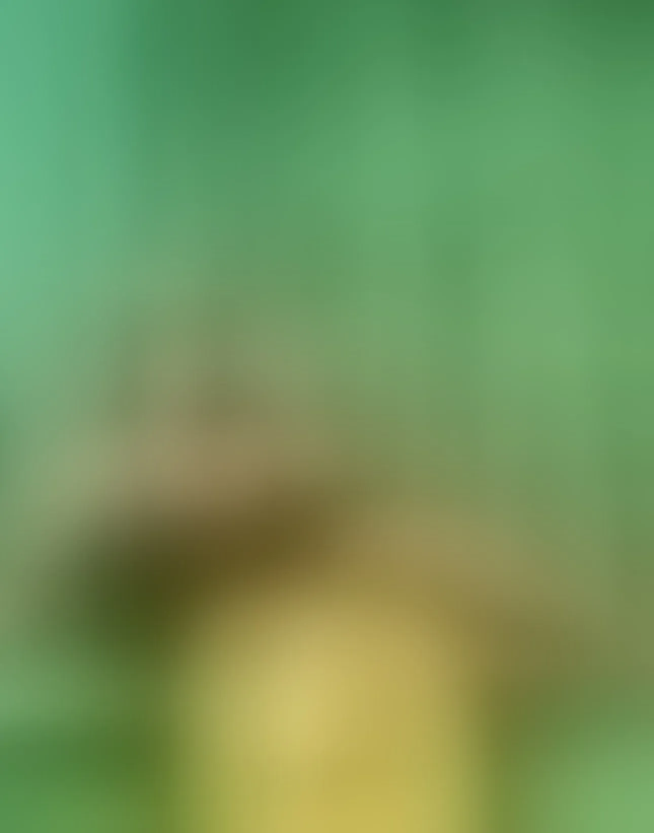 Live sex webcam photo for AkiraFallh #8378558