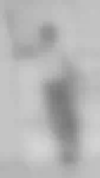 Live sex webcam photo for Izumisenjux #7901641