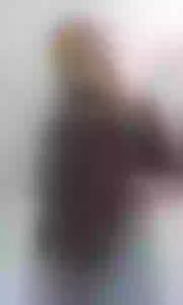 Live sex webcam photo for MollyCruzz #7835052