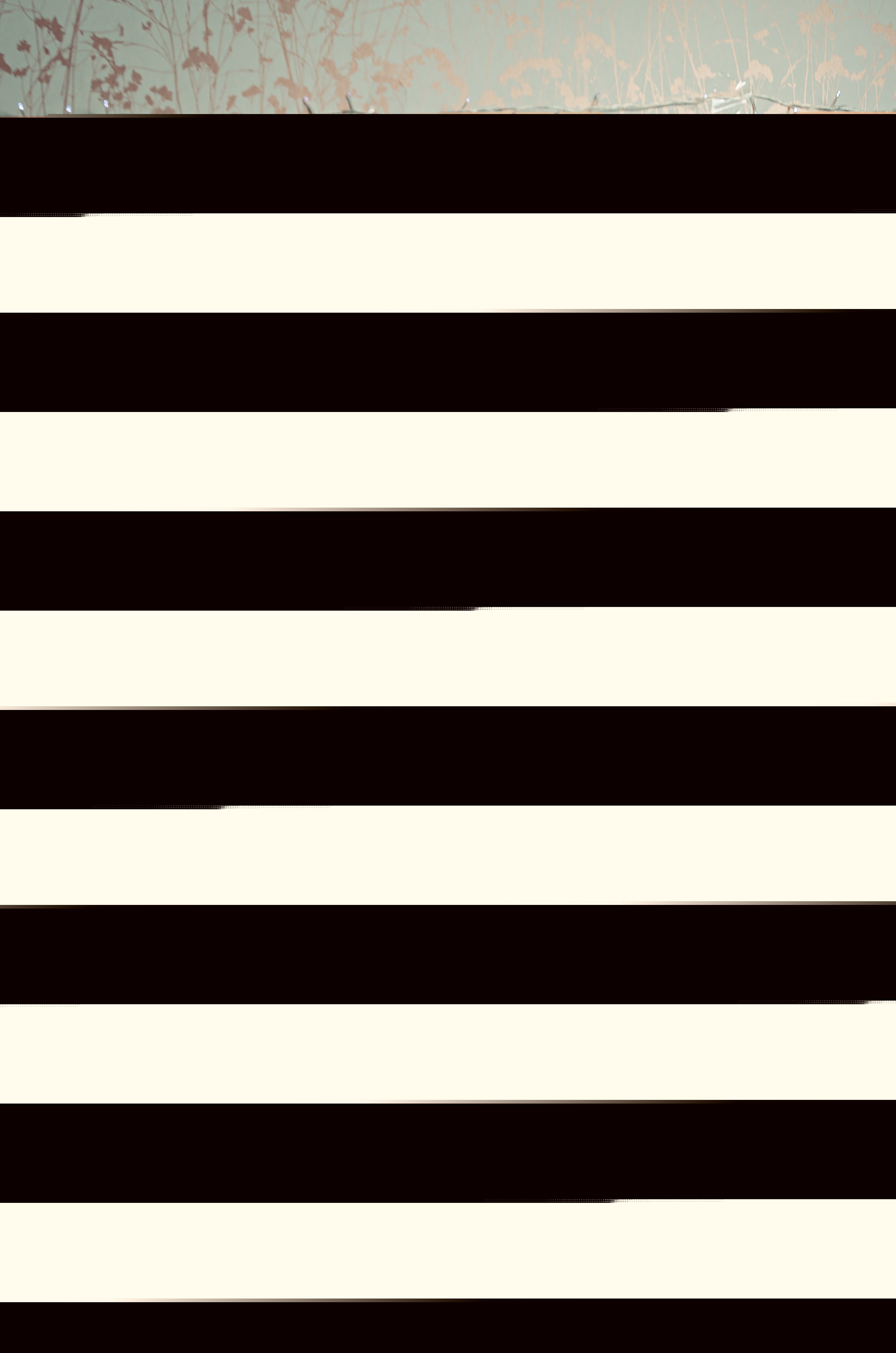 Live sex webcam photo for MichelleMonet #7337358