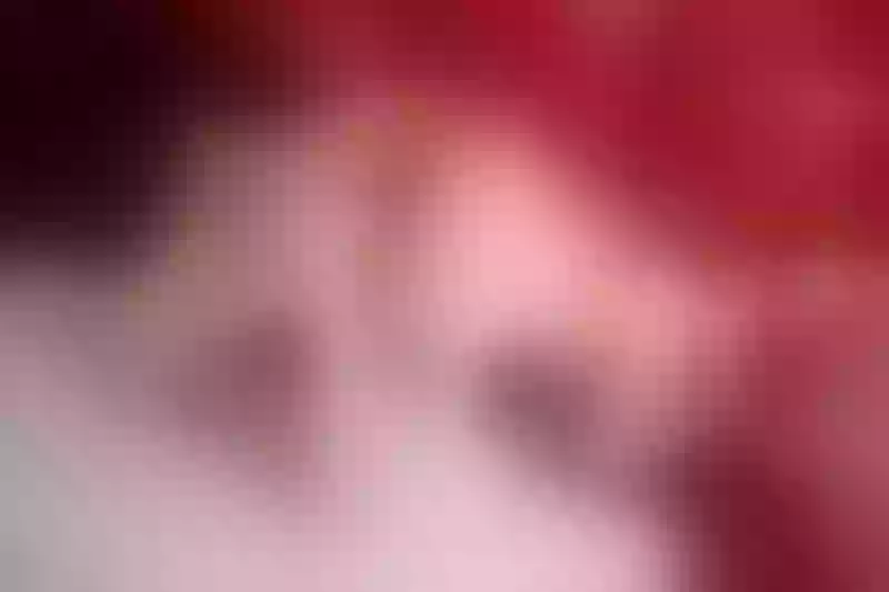 Live sex webcam photo for DakotaGrant #5635796