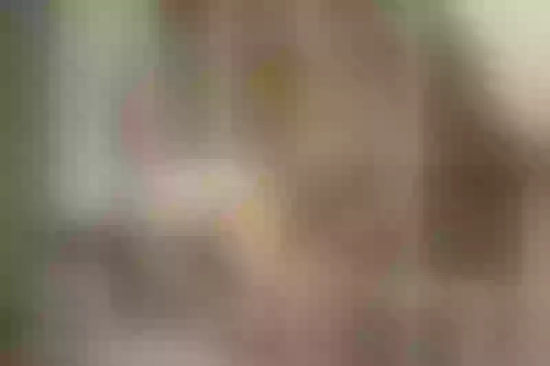Live sex webcam photo for JulianaSimeone #6629594