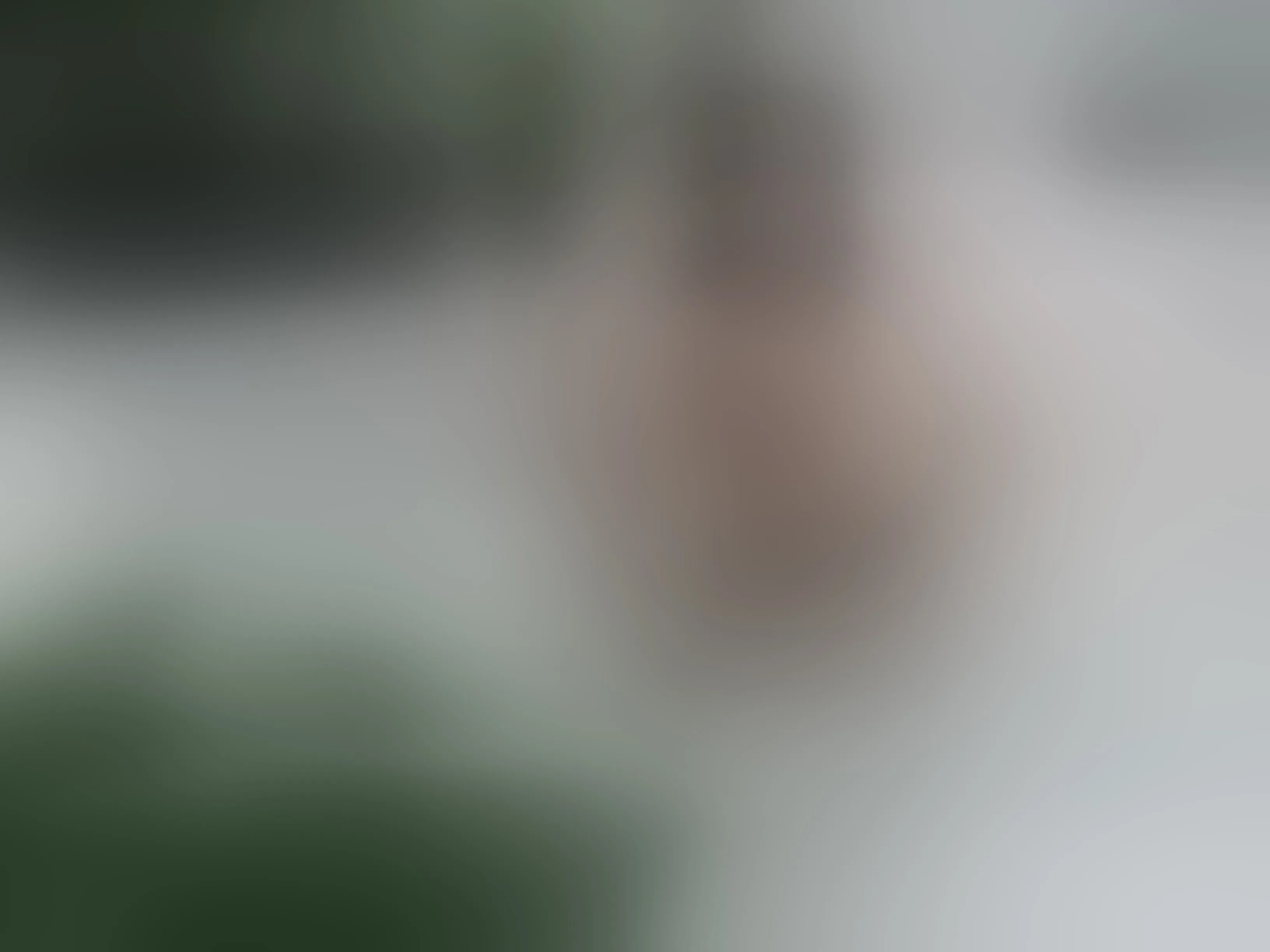 Live sex webcam photo for MissyCharlottte #7129555