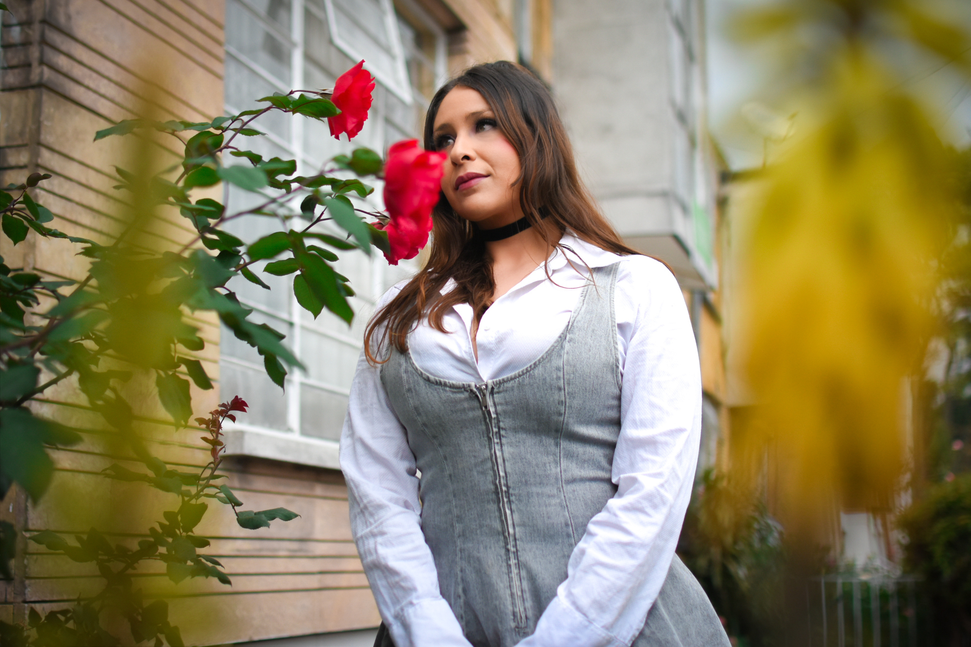 Live sex webcam photo for Dandeliionqueen #7895195