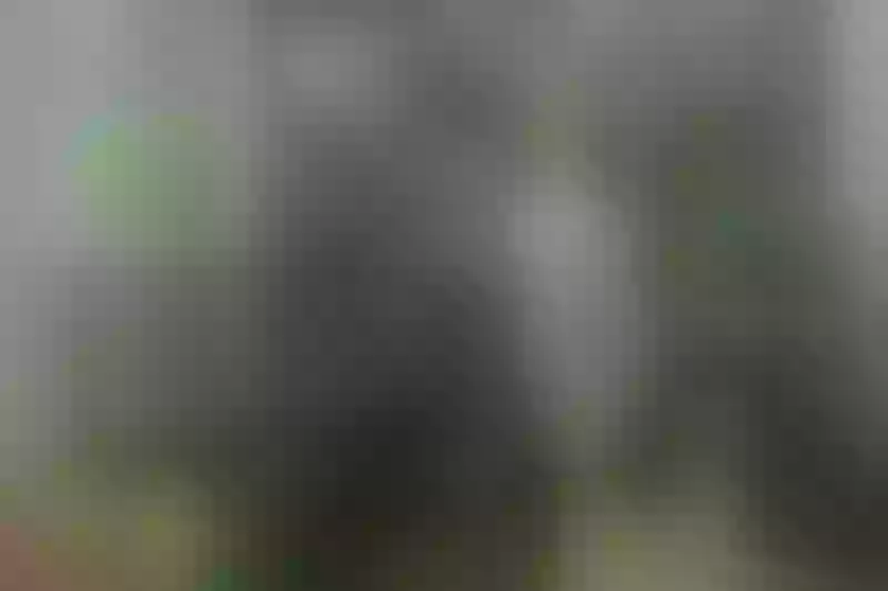 Live sex webcam photo for Dandeliionqueen #7895244